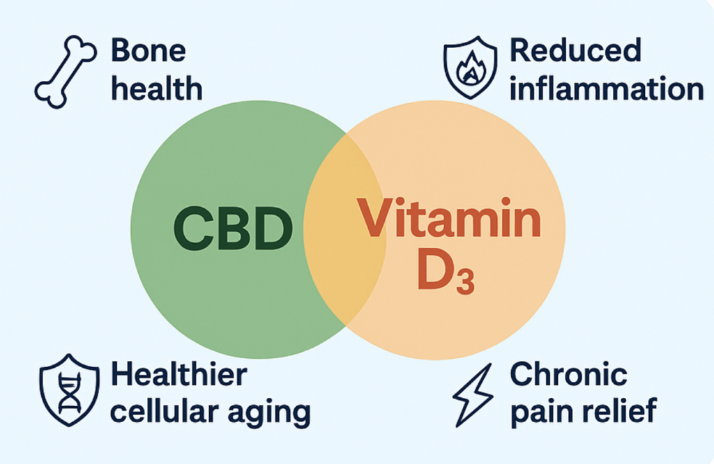 Additive Effects of CBD and Vitamin D